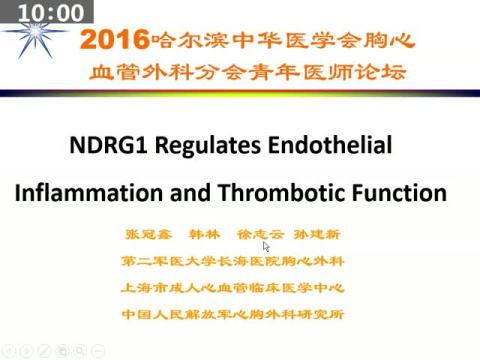 NDRG1 Regulates Endothelial Inflammation and Thrombotic Function Through Nur77-mediated NF-κB and AP1 Pathways|