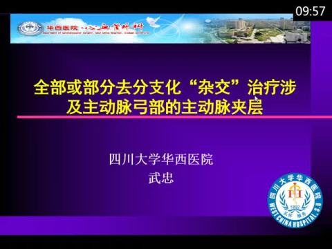 全部或部分去分支化“杂交”治疗涉及主动脉弓部的主动脉夹层——手术策略及近期结果