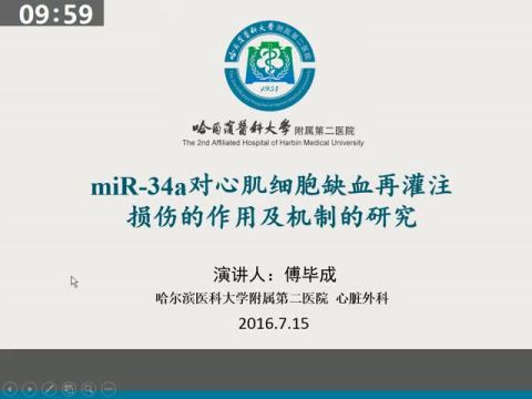 miR-34a对心肌细胞缺血再灌注损伤的作用及机制的研究