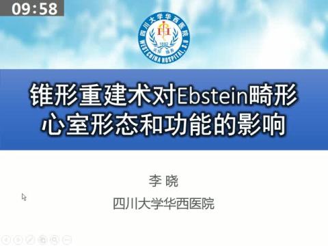 锥形成形术治疗Ebstein畸形的效果及对右室几何形态及功能的影响