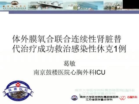 体外膜氧合联合连续性肾脏替代治疗成功救治感染性休克1例