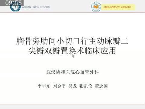 胸骨旁肋间小切口行主动脉瓣、二尖瓣双瓣置换术20例|