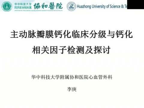 主动脉瓣膜钙化临床分级钙化相关因子检测及探讨