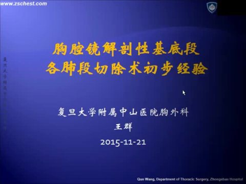 胸腔镜解剖性基底段各肺段切除术初步经验