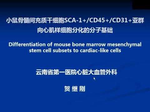 小鼠骨髓间充质干细胞SCA-1+/CD45+/CD31+亚群向心肌样细胞分化的分子基础