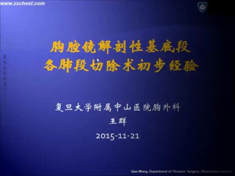 胸腔镜解剖性基底段各肺段切除术初步经验