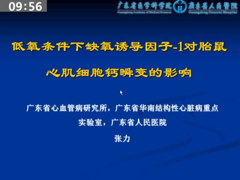 低氧条件下缺氧诱导因子-1对胎鼠心肌细胞钙瞬变的影响 1