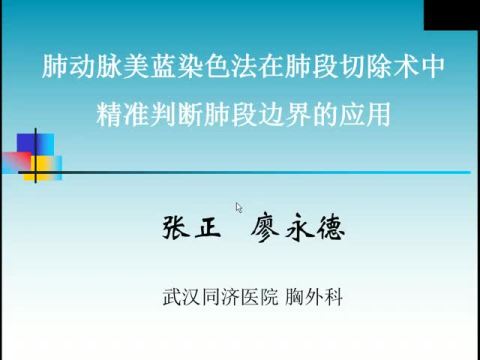 肺动脉美蓝染色法在肺段切除术中精准判断肺段边界的应用