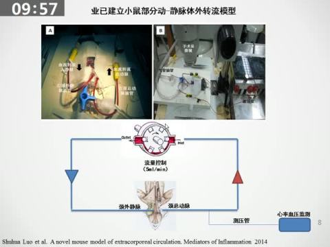 预动员CD133+细胞在体外循环诱导全身炎症反应中的肺保护作用 2