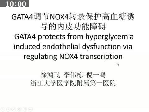 GATA4调节NOX4转录保护高血糖诱导的内皮功能障碍  GATA4 protects from hyperglycemia induced endothelial dysfunction via regulating NOX4 transcription|