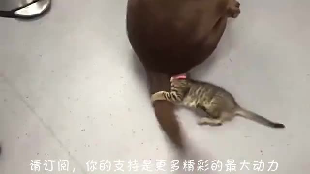 人口大战三百回合_战斗机器人VS 纸箱人大战三百回合