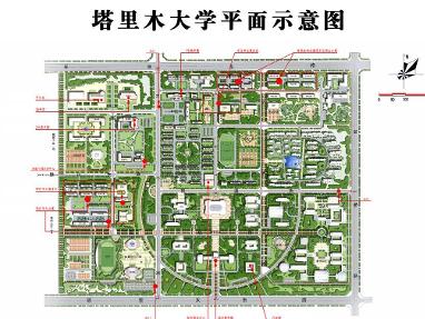 塔里木大学地图图片