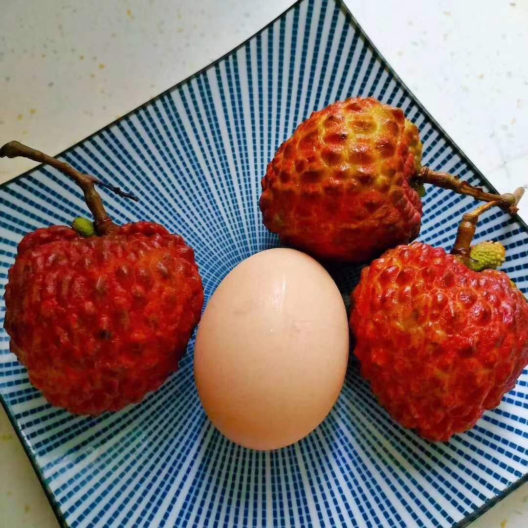 随拍荔枝鸡蛋