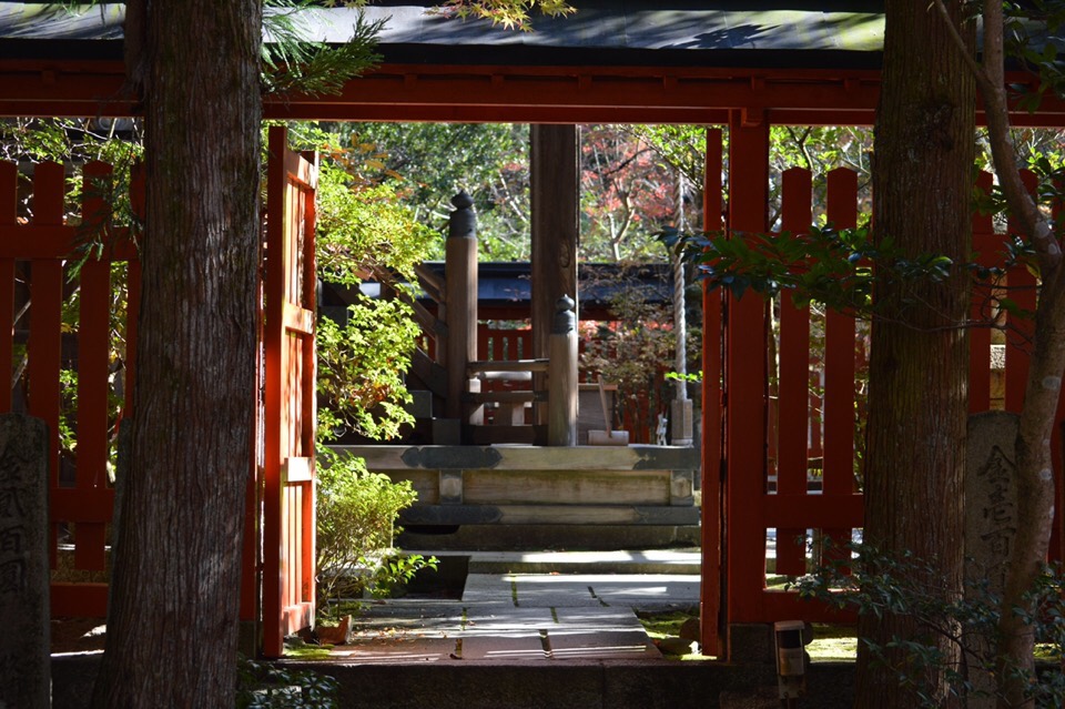 随拍日本的赤山禅院风景