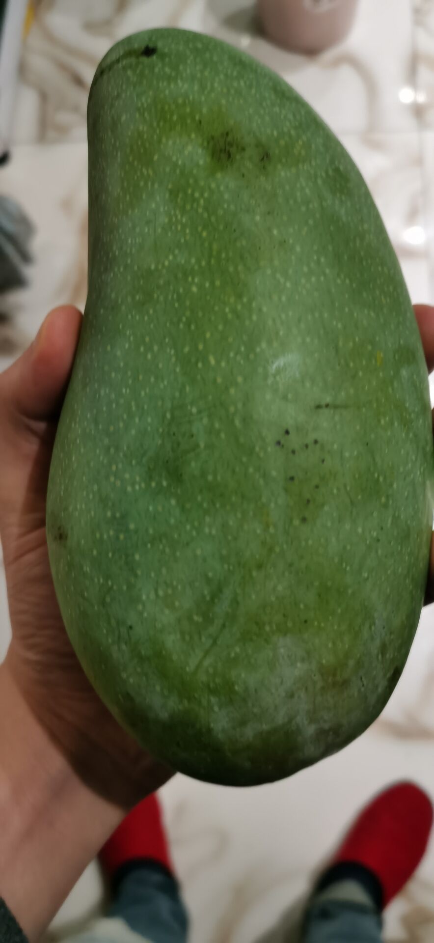 【随拍】大芒果