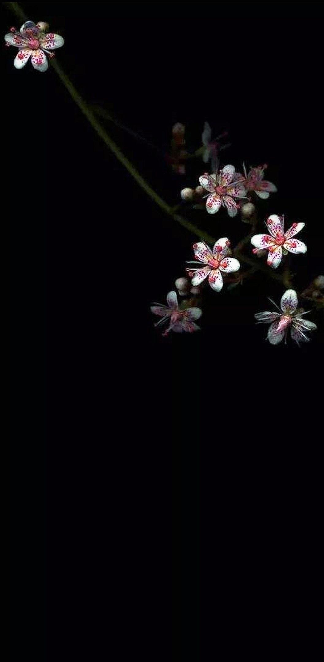 黑色系桌面壁纸