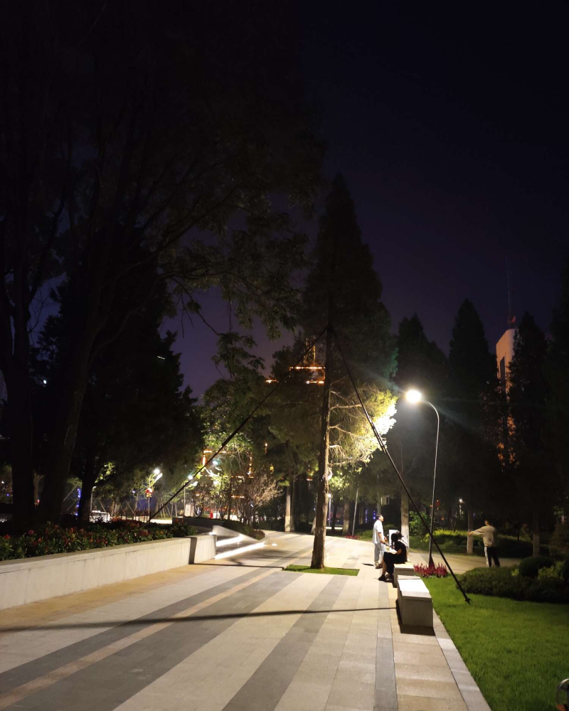 随拍夜晚下的公园补签