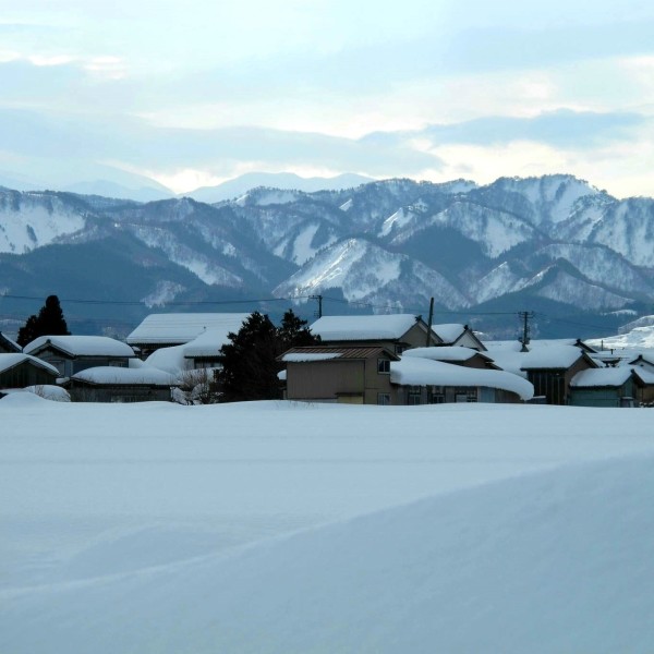 三波春夫 雪の渡り鳥 雪国下雪时听的和风歌曲 企鹅fm