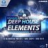 House Music (APOLLON & WAVE REMIX)