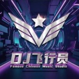Dj飞行员