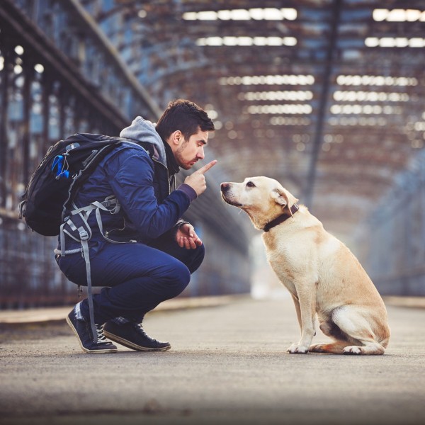 静谧时光|低吟浅唱的温柔