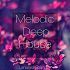 DJ学刚 - 中英文LakHouse音乐2024年总有你的鼓励慢摇串烧004辑