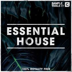 Fire From Within (Original Mix)
