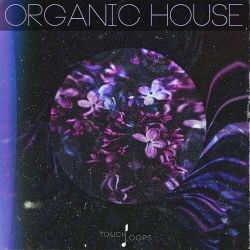 【车载电子琴】护花使者《纯音乐》清风DJ网_独家