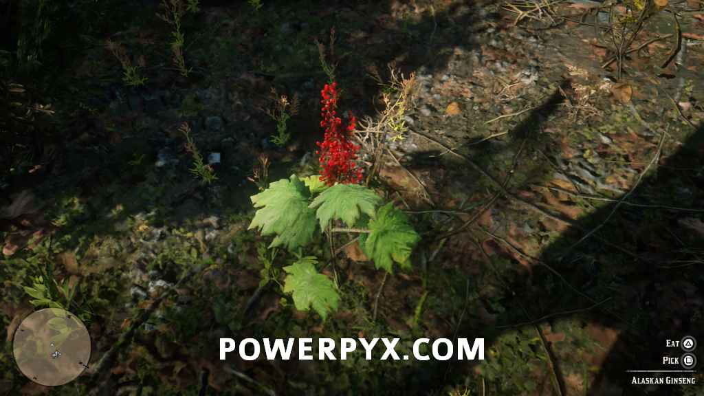 《荒野大鏢客2》普通植物採集位置 - 第2張
