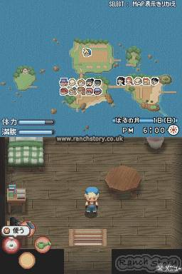 牧场物语 DS：阳光岛游戏图集-篝火营地