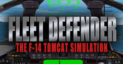 舰队后卫：F-14 Tomcat模拟