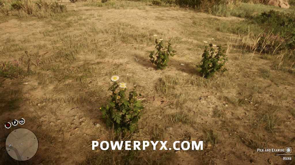 《荒野大鏢客2》普通植物採集位置 - 第54張