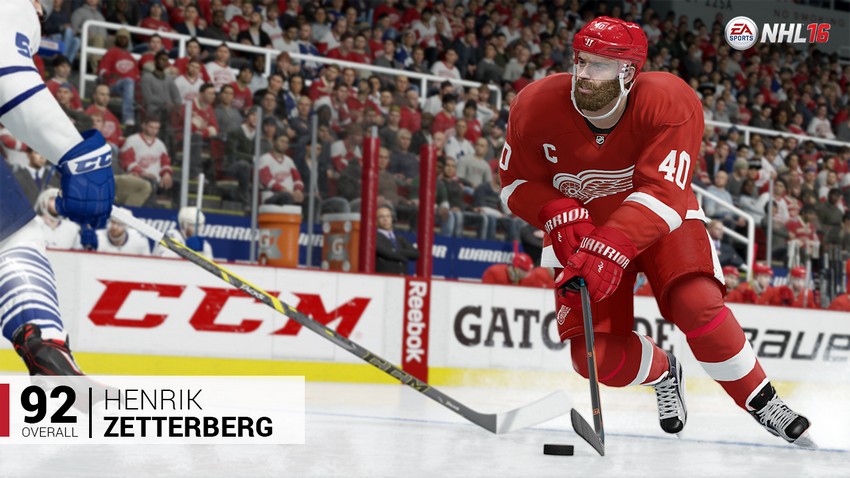 美国职业冰球联盟16游戏图集