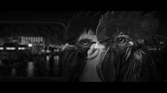 公鸡神探游戏图集-篝火营地