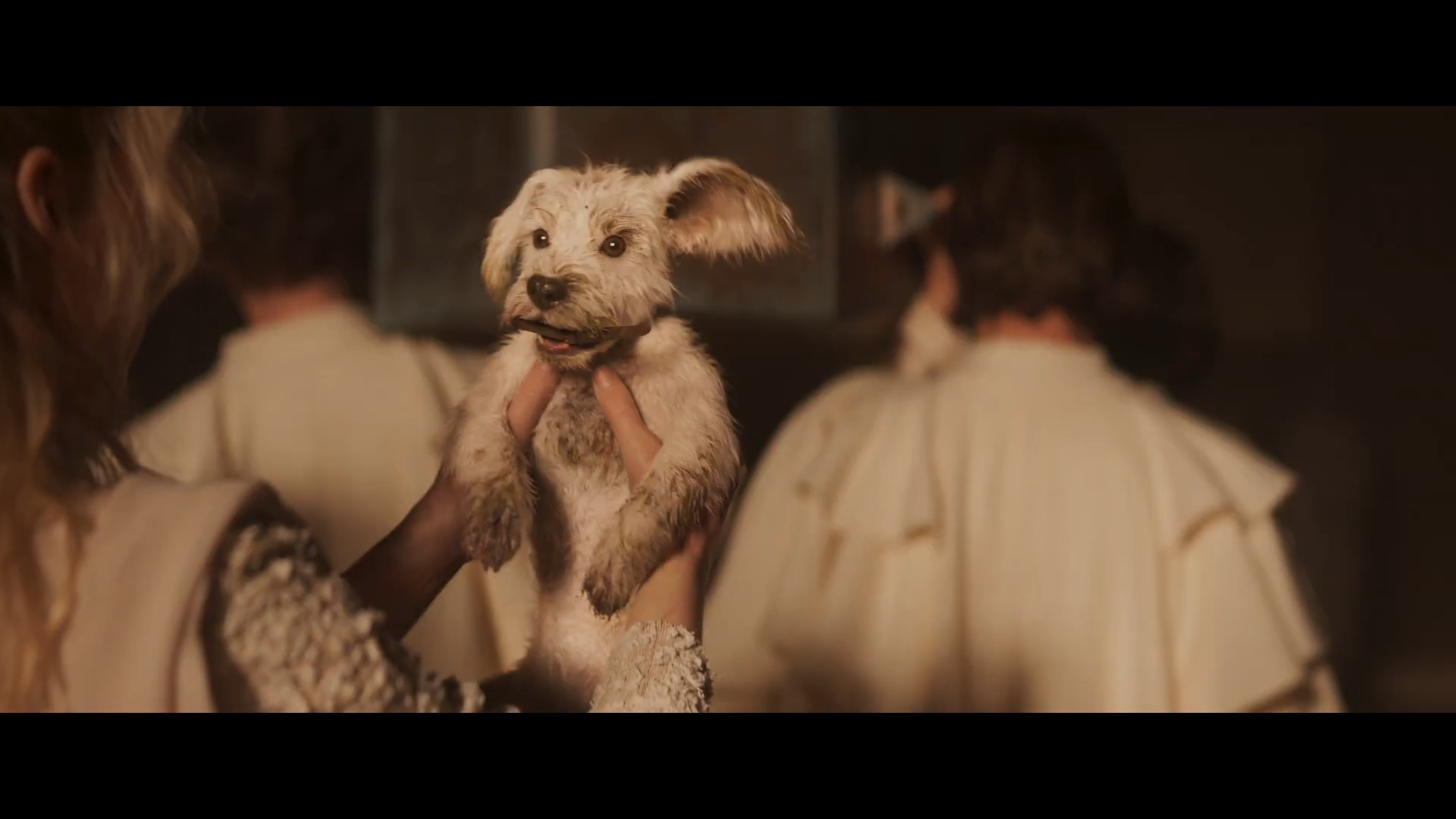 《超级少女》全新预告公开，幼犬小氪登场