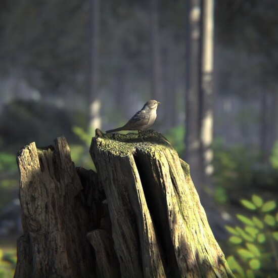 国产科幻文字冒险游戏《树海迷宫》Fami 通评测