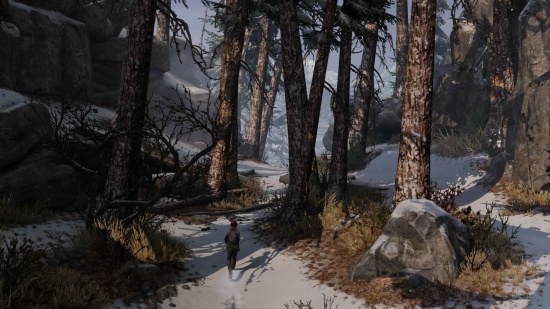 最后生还者 重制版游戏图集-篝火营地