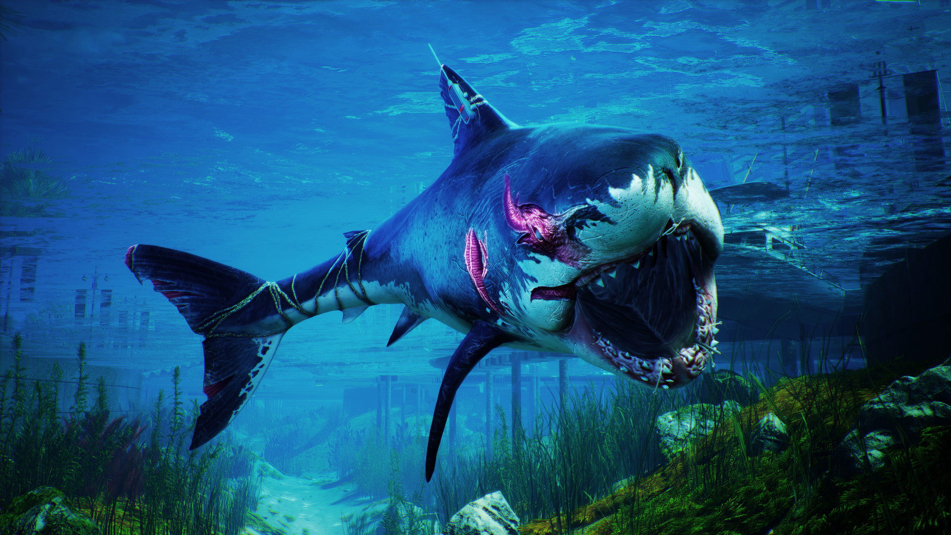 《食人鲨》Polygon 评测：另类版《海底总动员》