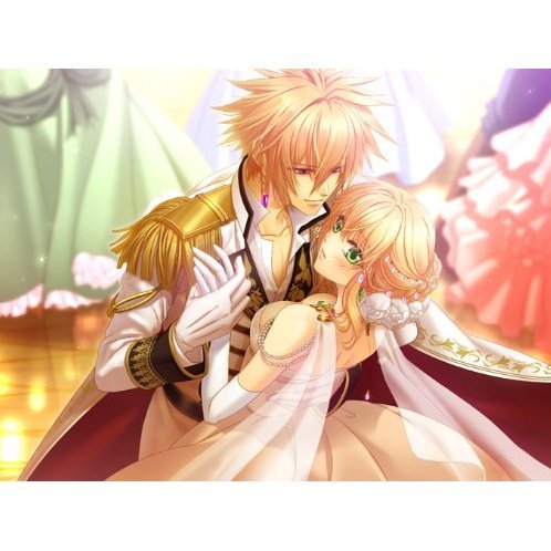 驯兽师与王子殿下：雪新娘 携带版游戏图集-篝火营地