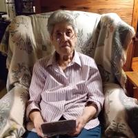 87 岁奶奶游玩《动物之森》超过 3580 小时
