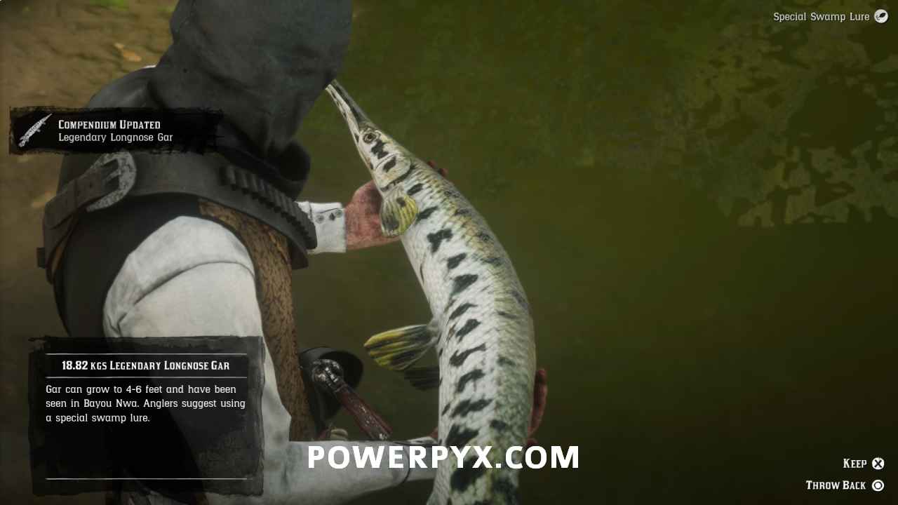 《荒野大鏢客2》全傳說魚收集位置一覽 - 第10張