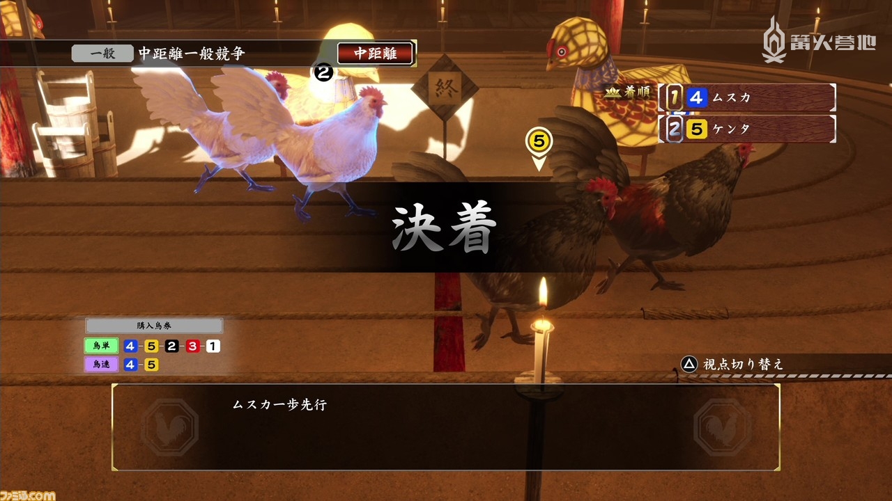 因为倍率较高，所以如果想快速赚钱，那就该去斗鸡，但往往很难真的中头奖……