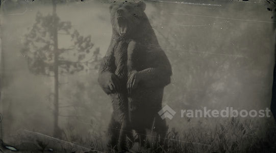 熊|荒野大鏢客：救贖 2 - 第1張