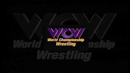 WCW世界摔角赛游戏图集-篝火营地