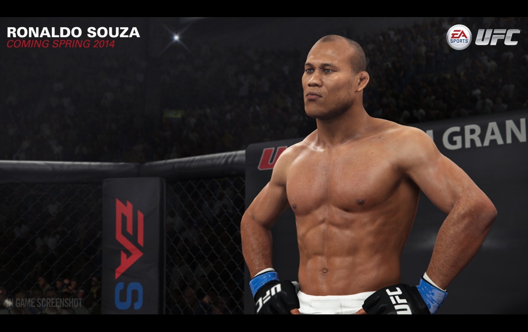 EA Sports UFC游戏图集