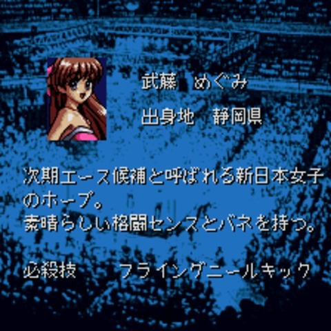 超级摔角天使-篝火营地