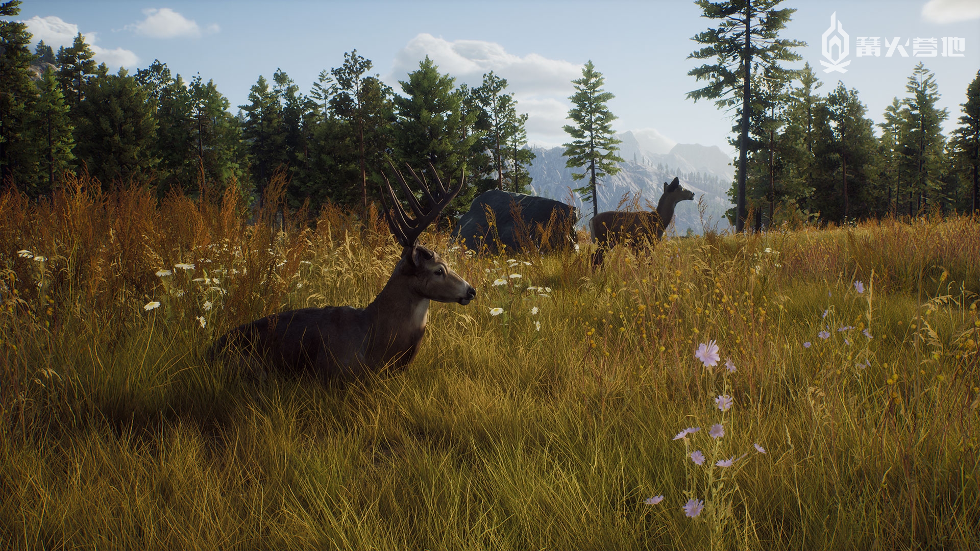 开放世界狩猎游戏《猎人之路》8 月登陆 PS5/SXS/Steam