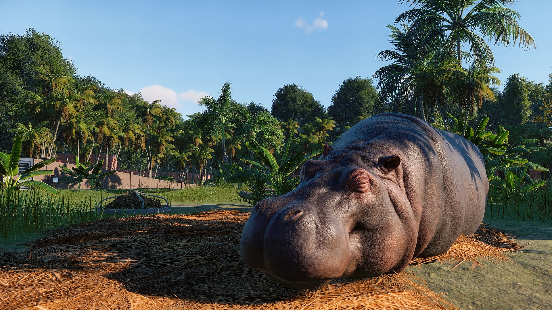 《动物园之星（Planet Zoo）》前瞻：栩栩如生的动物王国  234游戏网