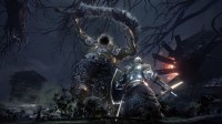 一名 From Software 死忠粉眼中的「魂」系列排名