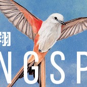 展翅翱翔